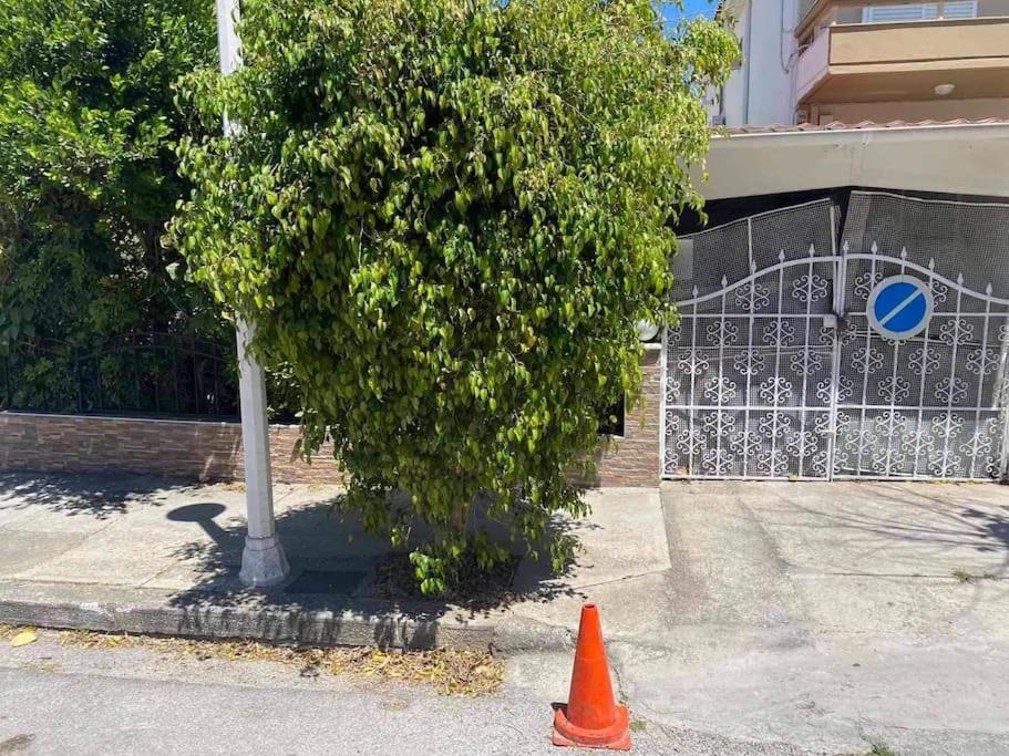 Vergina Apartments Rhodes City Extérieur photo